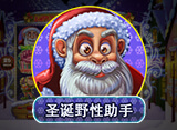 贏家娛樂城